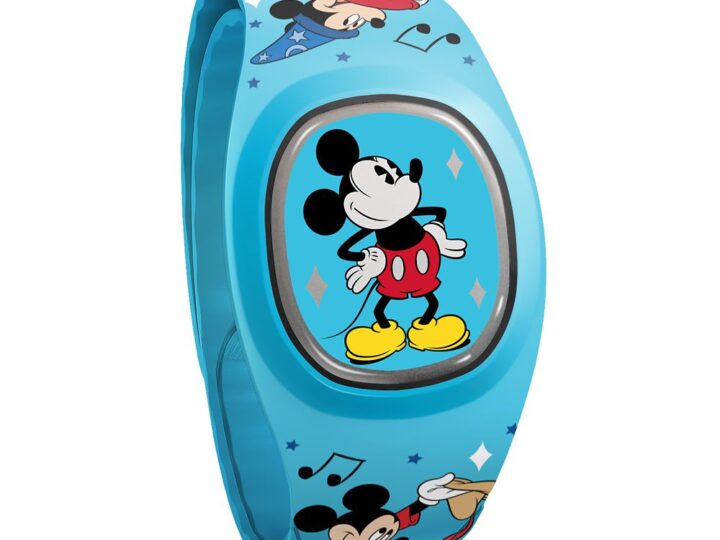 MagicBand