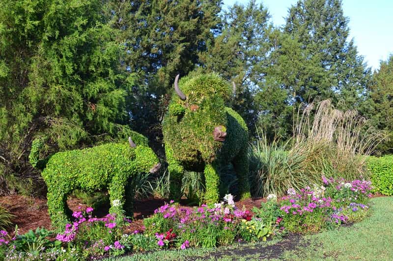 Wilderness Lodge Topiary