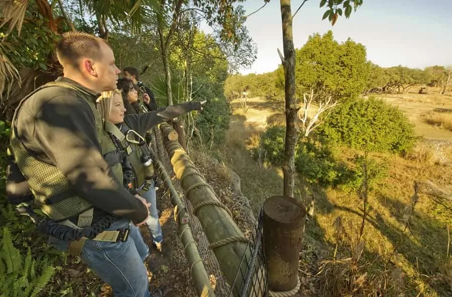 Wild Africa Trek Tour at Animal Kingdom