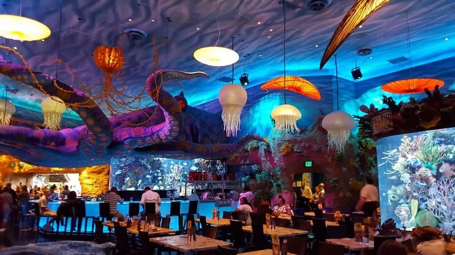 Bar at Disney Springs T-Rex Cafe