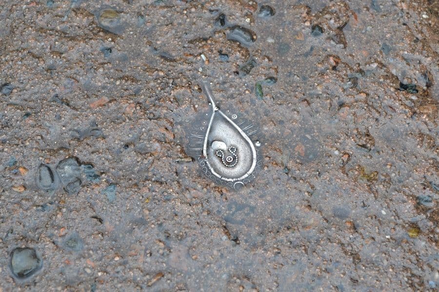 Hidden Mickey on floor of Adventureland