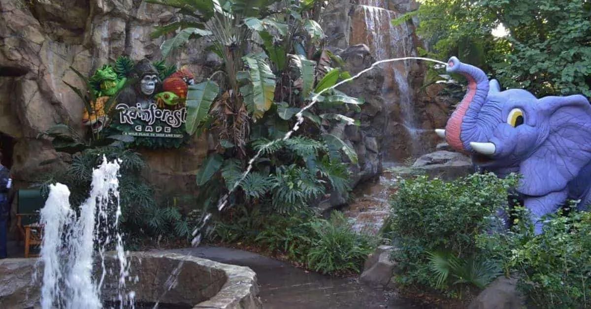 Rainforest Cafe in Animal Kingdom