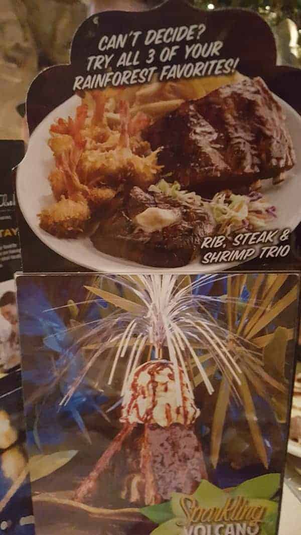 Food at Rainforest Cafe