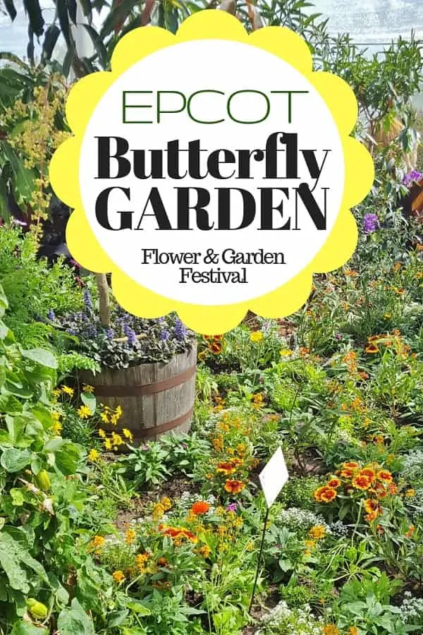 Butterfly House at the Epcot Flower & Garden Festival