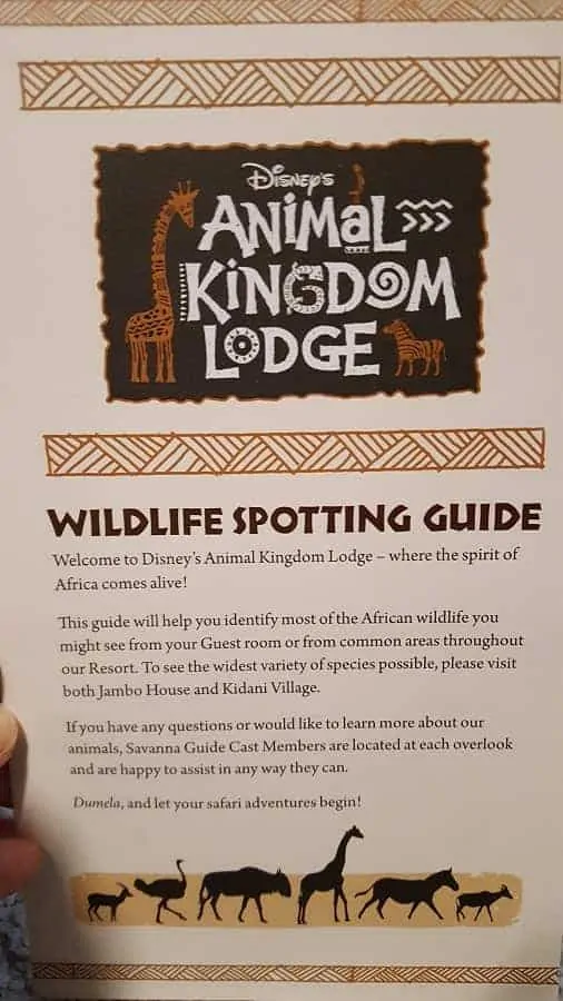 Animal Kingdom Wildlife Spotting Guide