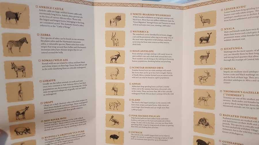 Animal Kingdom Lodge Guide to Willdlife