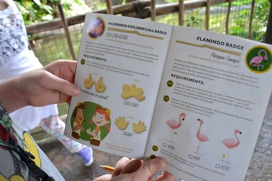 Wilderness Explorers Program in Animal Kingdom Park