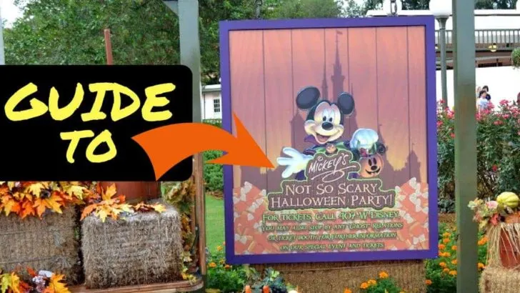 Mickey's Halloween Party in Disney World