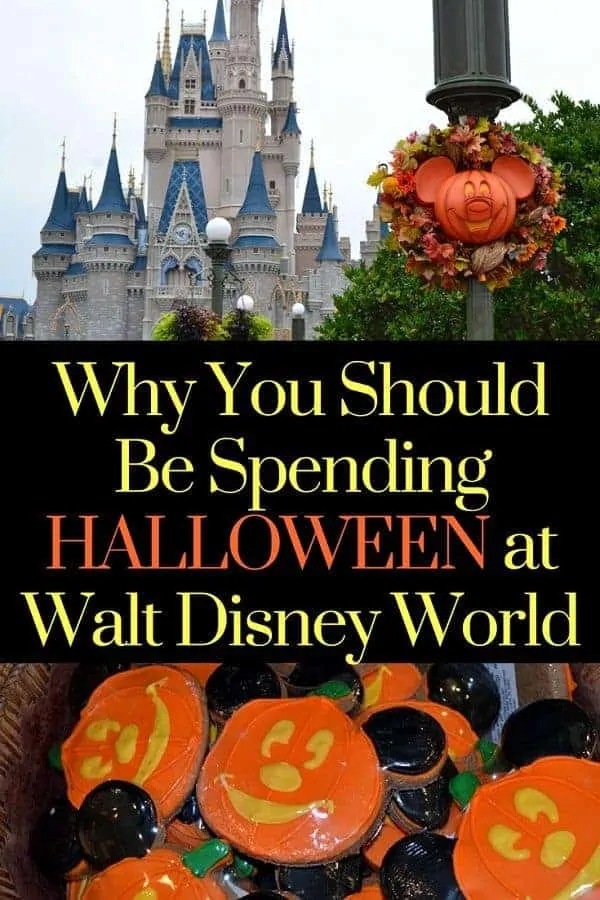 Disney World Halloween Experiences