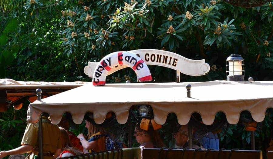 Candy Cane Connie Jungle Cruise