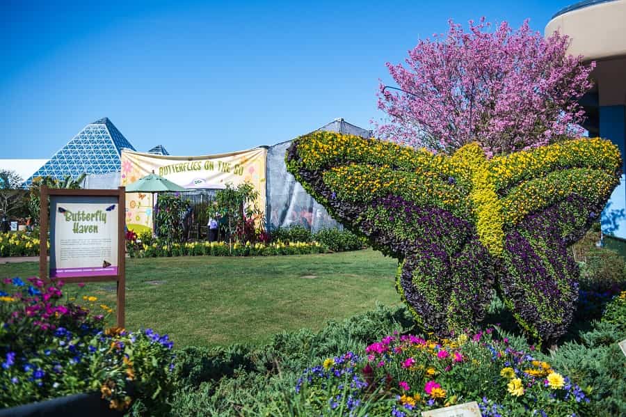 Butterfly Haven
