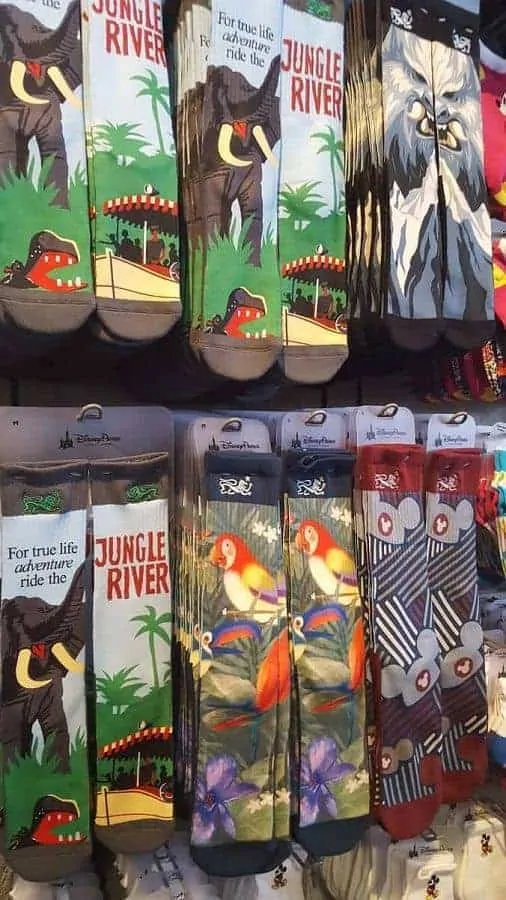 DIsney Parks Socks