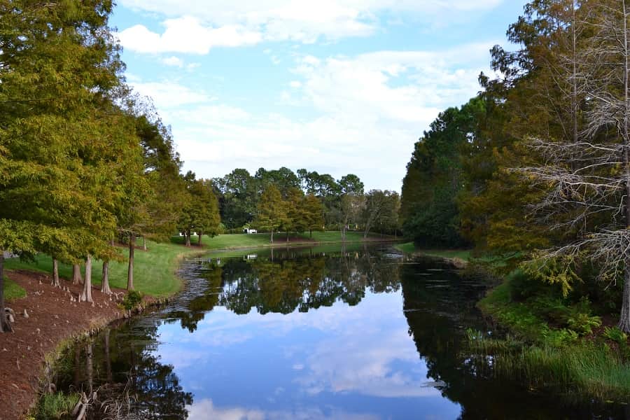 Natural Areas at Port Orleans Riverside