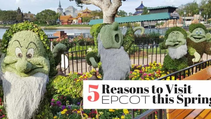 Reasons to Visit Epcot in the Spring