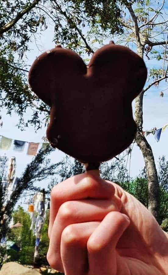 Mickey Mouse Ice Cream Bar