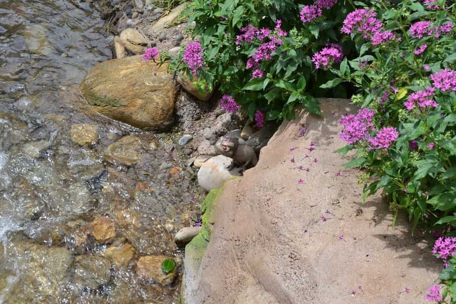Search for Friends of Pascal at Magic Kingdom