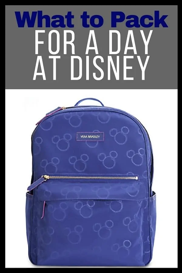 What to Pack for a Day at Disney Parks