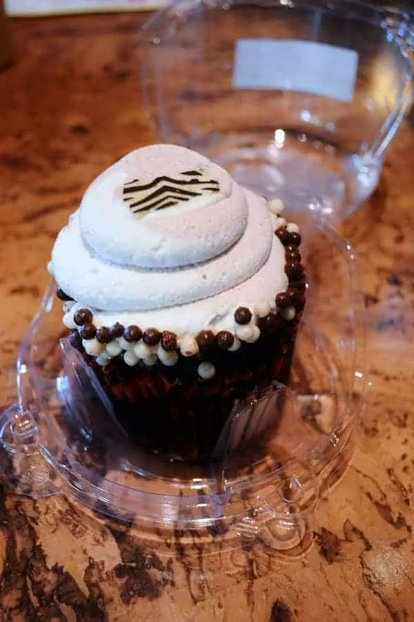 Zebra Cupcake in Animal Kingdom