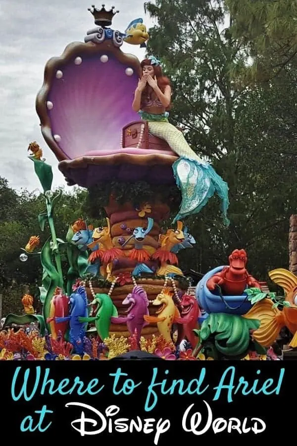 Where to Find Ariel in Disney World