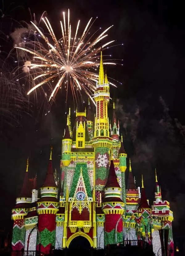 Disney Christmas Party Fireworks