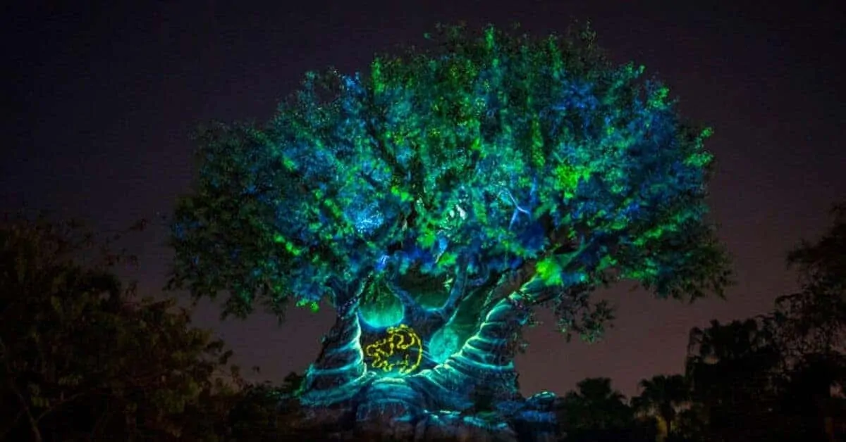 Newest Animal Kingdom Attractions