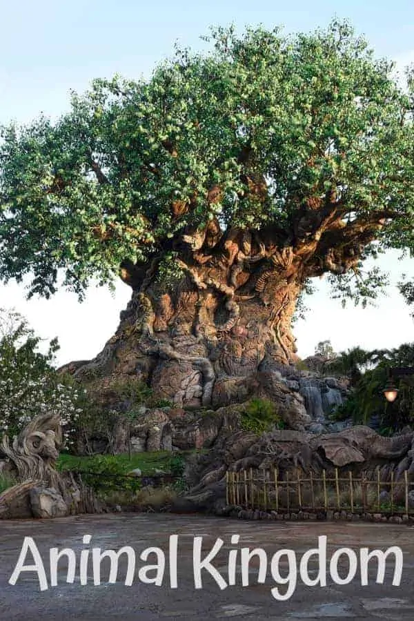 Animal Kingdom Park at Walt Disney World