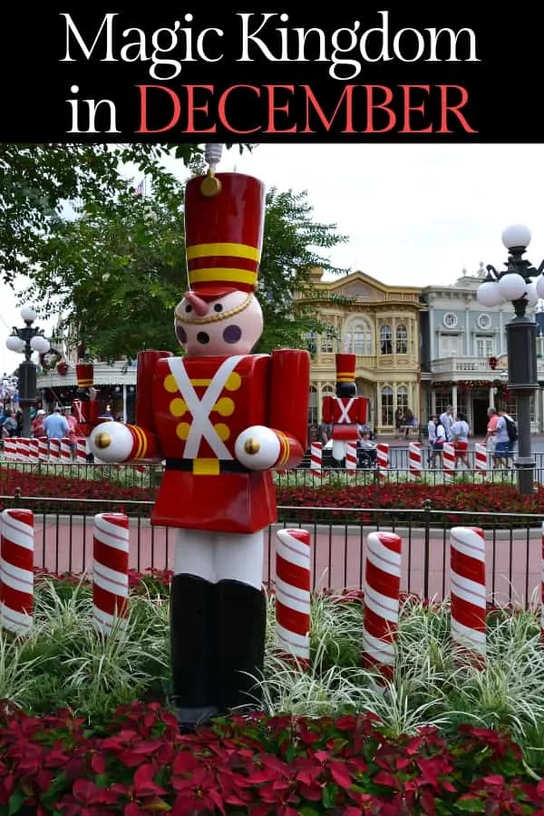 Visiting Magic Kingdom in December