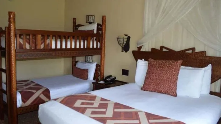 Animal Kingdom Bunk Bed Room