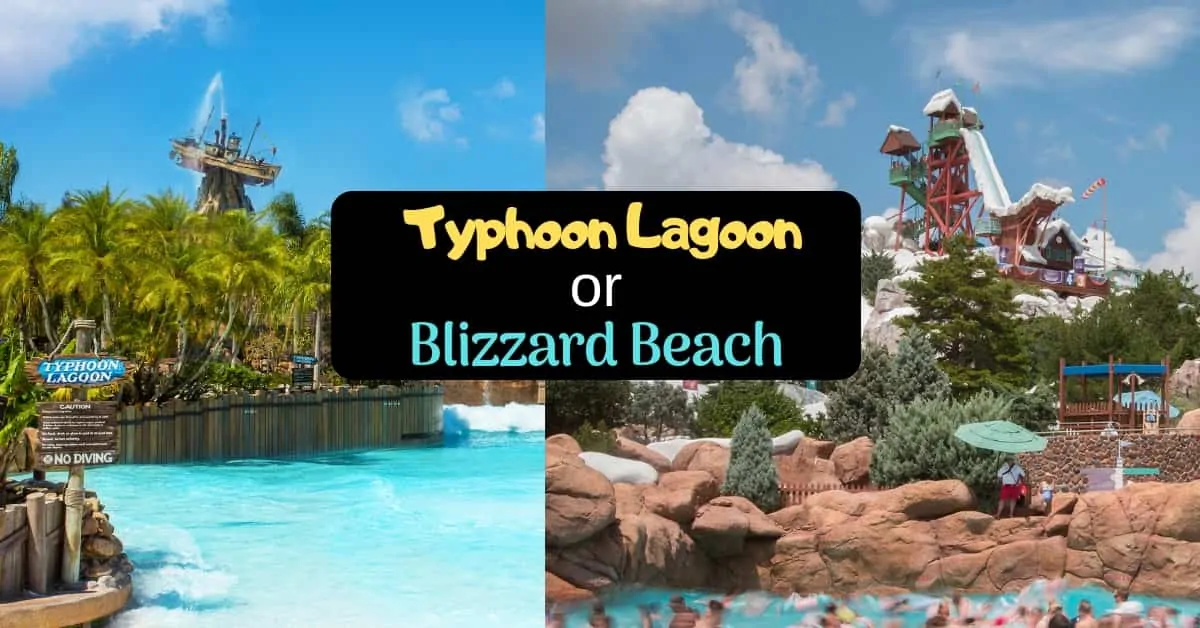 Choosing Between Typhoon Lagoon or Blizzard Beach