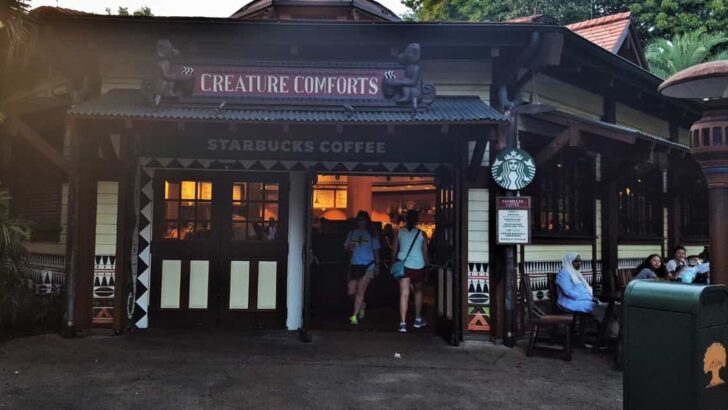 Inside Disney World Starbucks