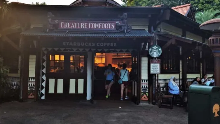 Inside Disney World Starbucks