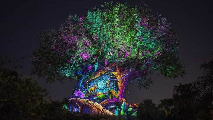 Tree of Life