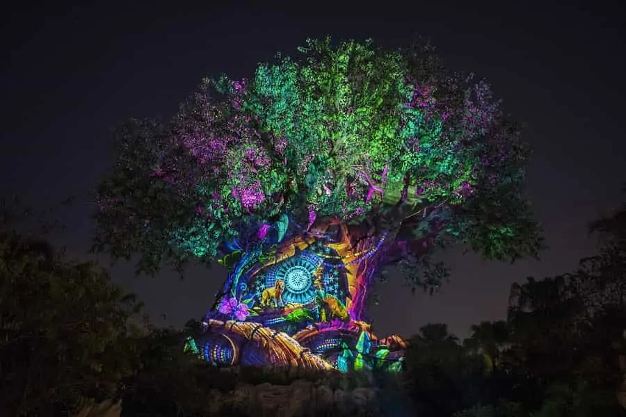 Animal Kingdom Tree of Life at Night