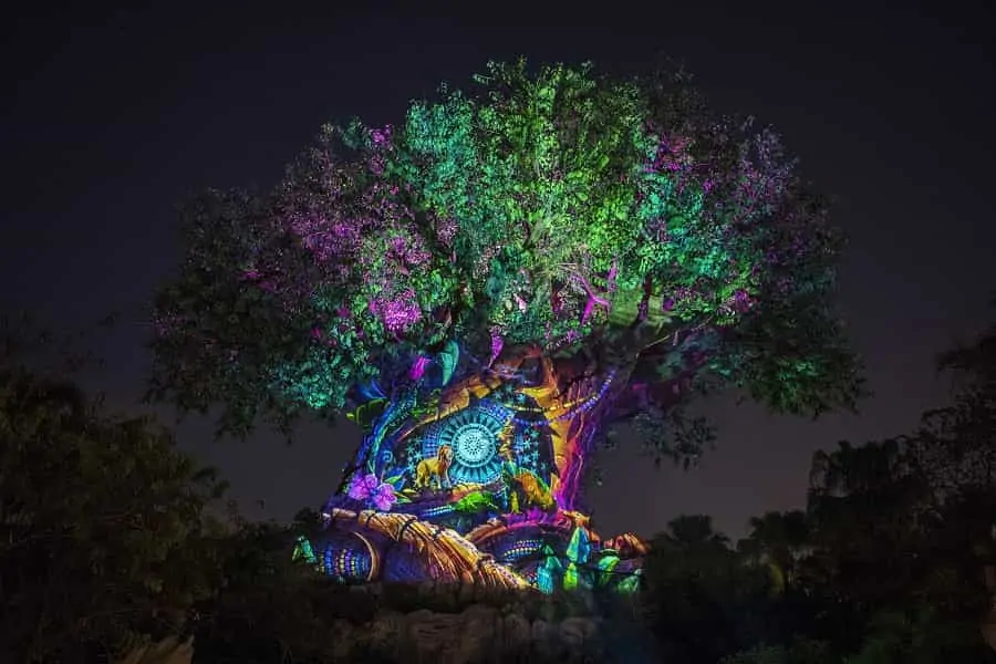 Tree of Life