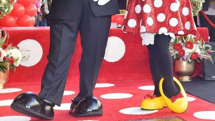 Mickey and Minnie Shoes