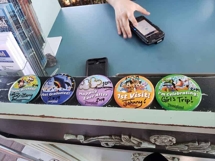 Disneyland Celebration Pins