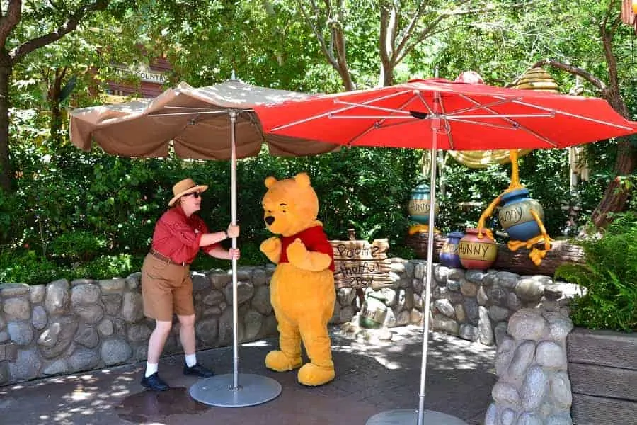 Meet Winnie the Pooh in Disneyland