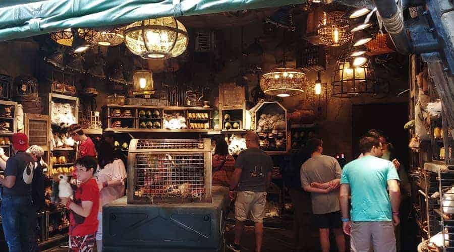 Bina's Creature Stall in Galaxy's Edge