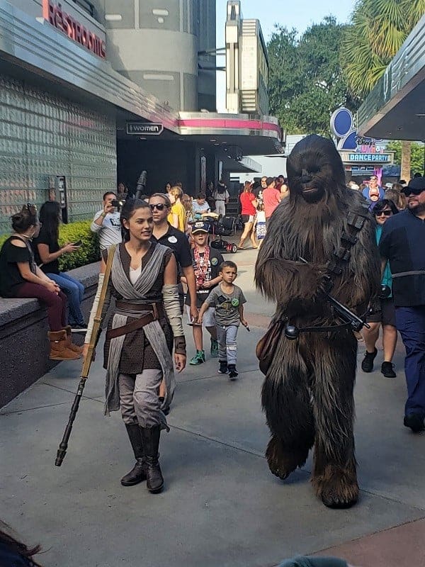 Rey and Chewbacca