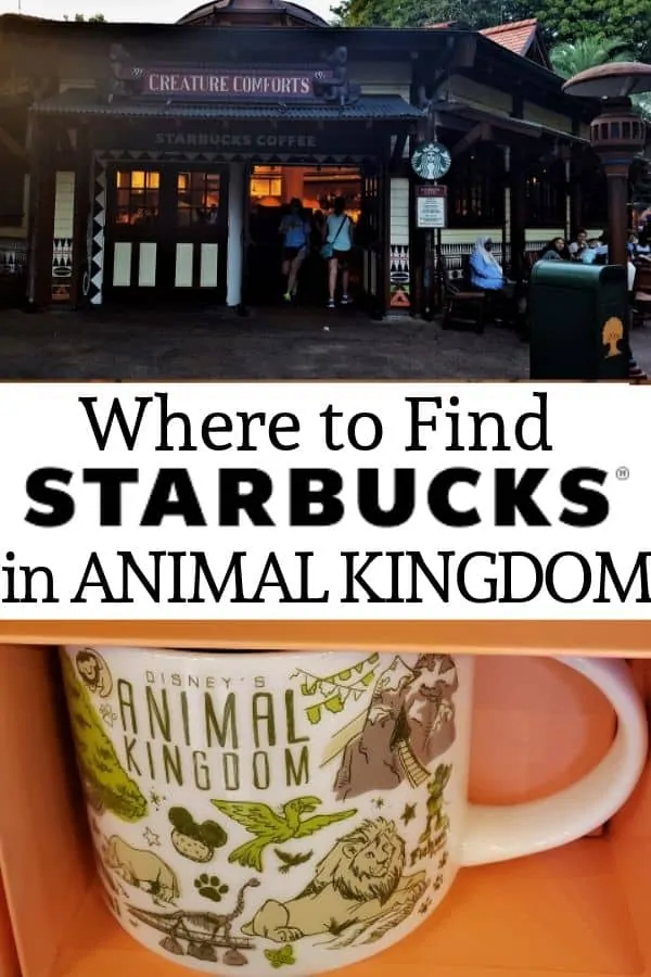 Where to find Starbucks in Animal Kingdom