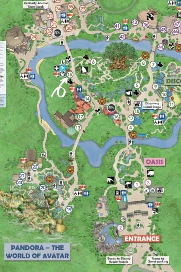Animal Kingdom Map to Starbucks