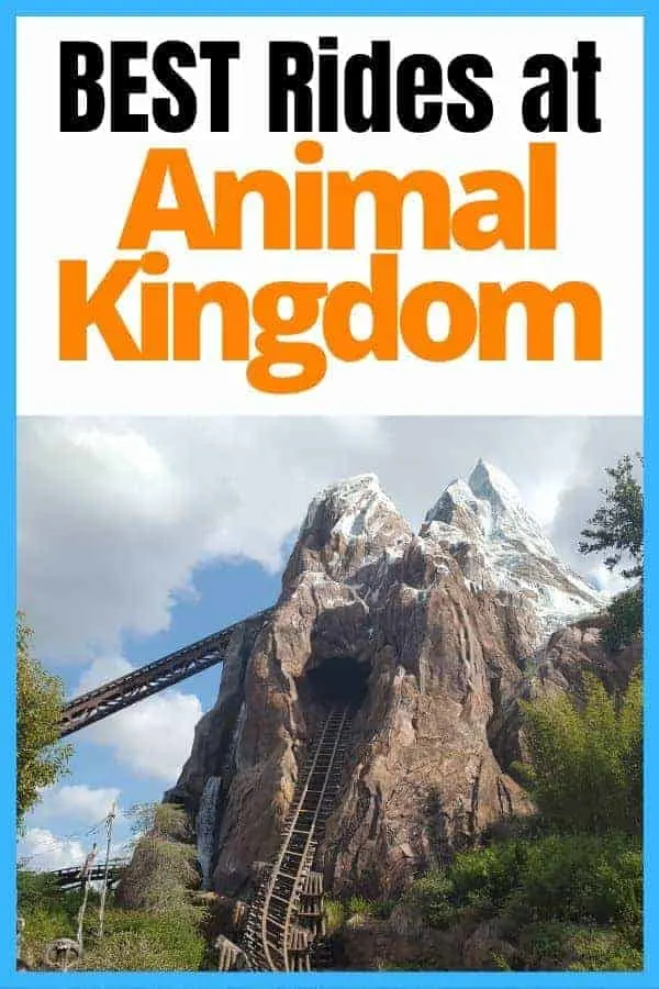 5 Best Best Animal Kingdom Rides