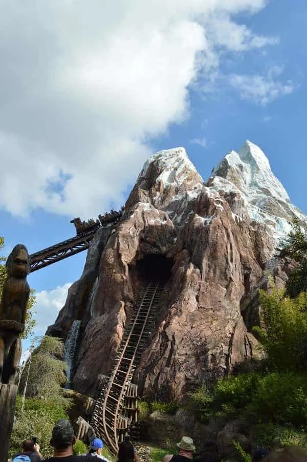 Expedition Everest in Animal Kingdom