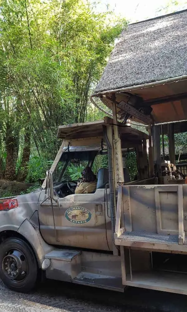 Kilimanjaro Safari Tour in Animal Kingdom