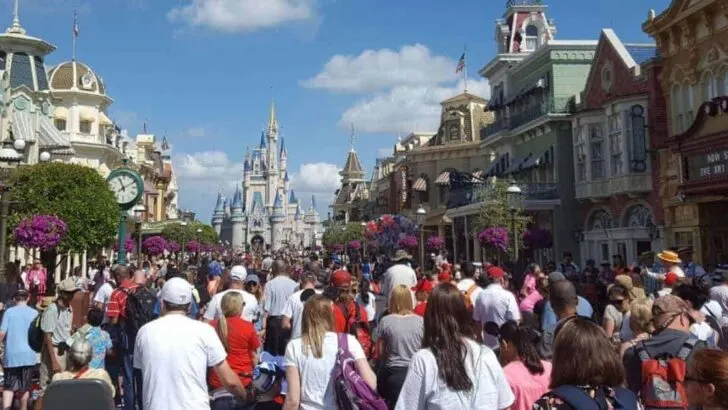 Crowds at Disney Parks