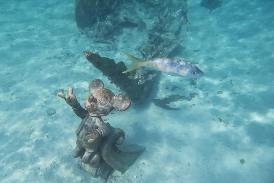 Snorkel at Castaway Cay