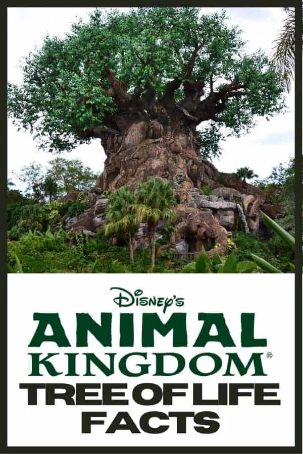 10 Animal Kingdom Tree of Life Facts