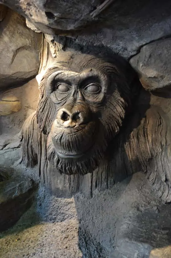 10 Animal Kingdom Tree of Life Facts - Disney Insider Tips 10 Animal Kingdom Tree of Life Facts - Disney Insider Tips