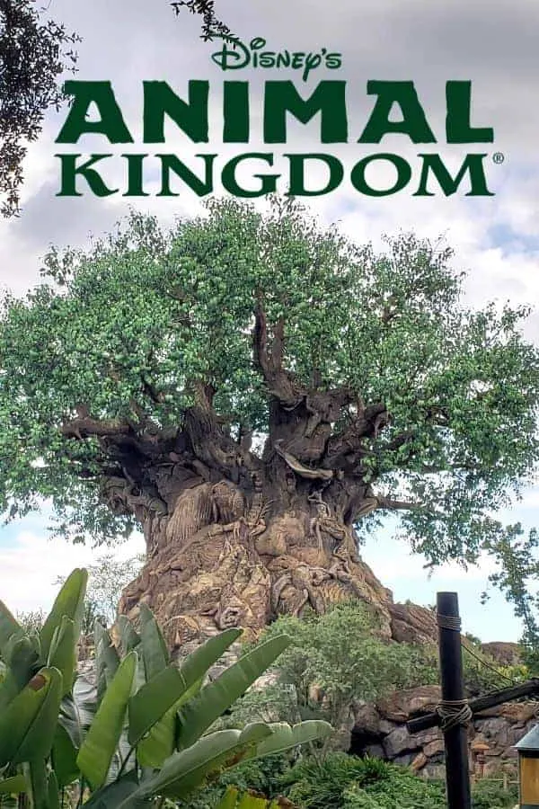 Guide to Animal Kingdom (Map, Tips & More) - Disney Insider Tips