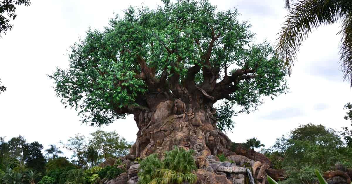 Disney World's Animal Kingdom park